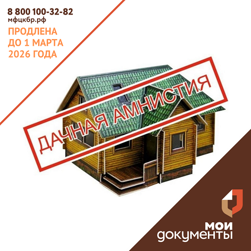 «Дачная аминистия» продлена до 1 марта 2026 года