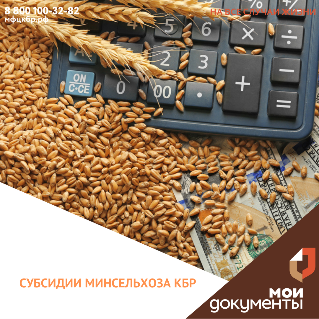 Субсидии Минсельхоза КБР