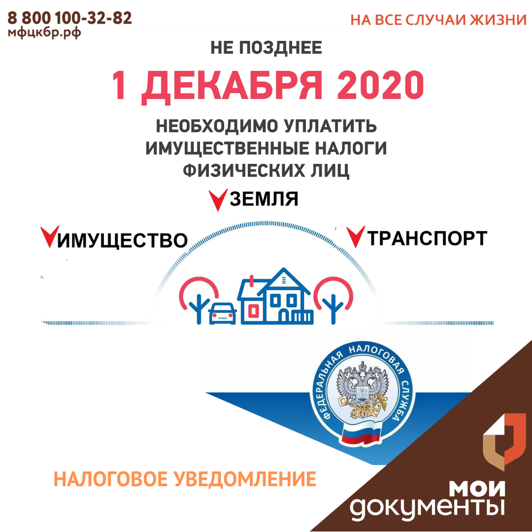 Срок уплаты имущественных налогов физических лиц