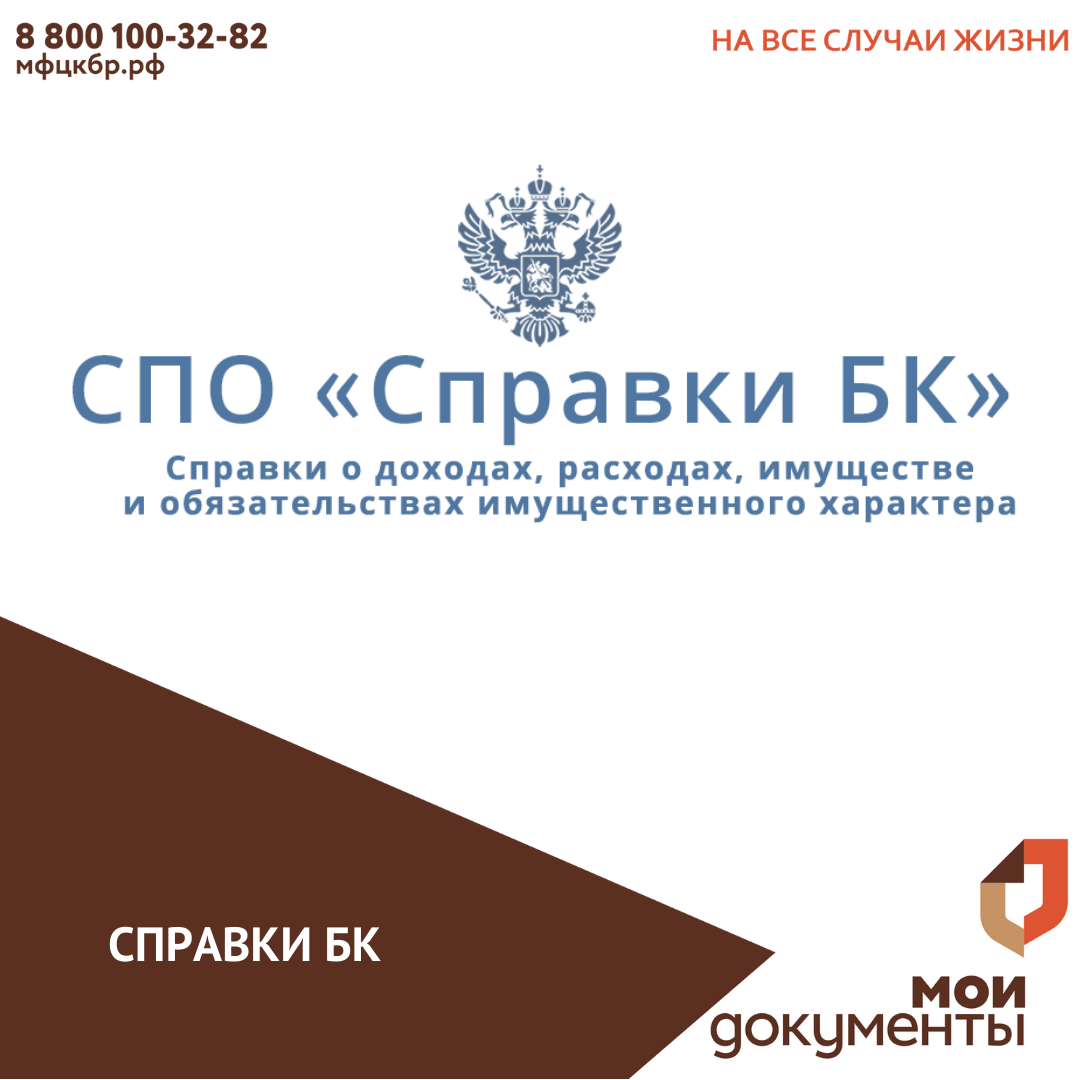 Справки БК