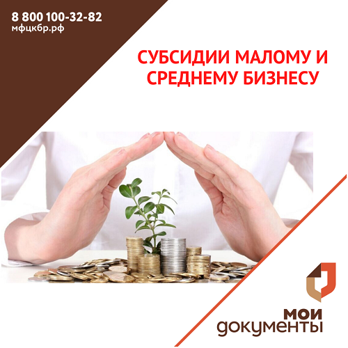 Субсидии малому и среднему бизнесу.