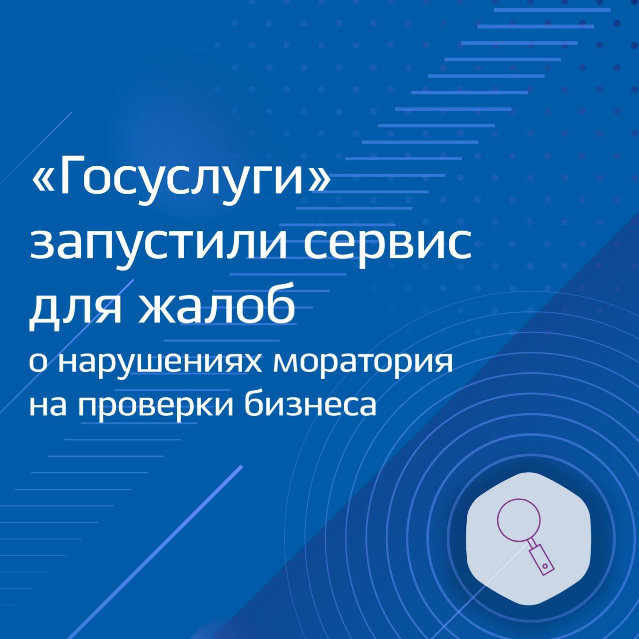Сервис для жалоб о нарушении моратория на проверки бизнеса