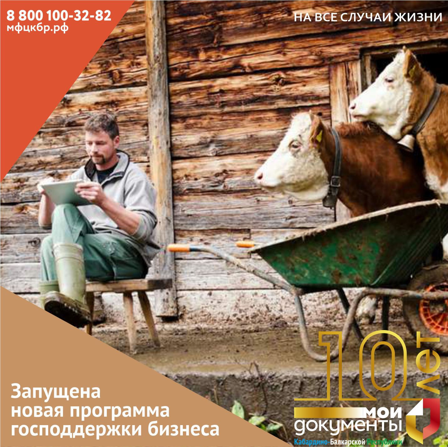 Запущена новая программа господдержки бизнеса